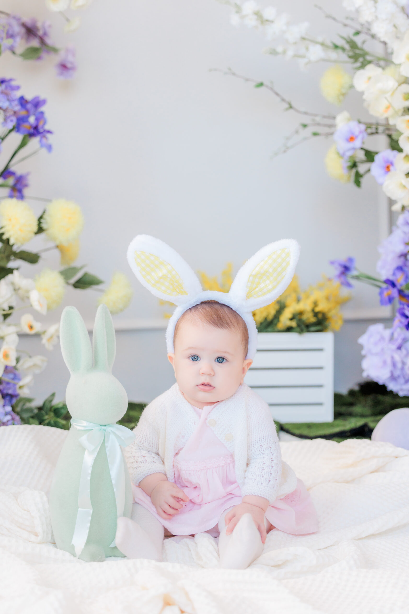 Mint Room Studios Spring setup, family mini sessions, maternity session, cherry blossom mini sessions toronto